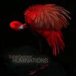 Ruminations / Tone Farmer